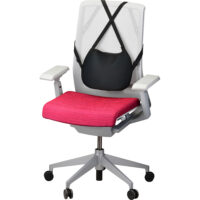 Nova Back Cushion