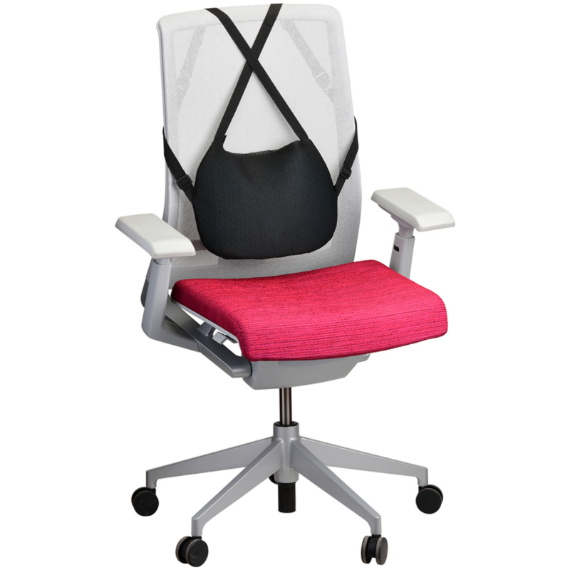 Back Cushion
