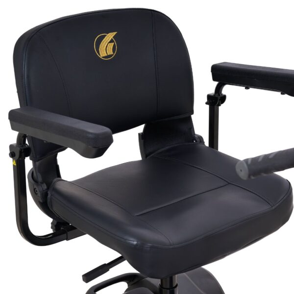 Golden Tech Buzzaround LT 3-Wheel