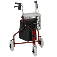 Traveler 3-Wheel Rolling Walker